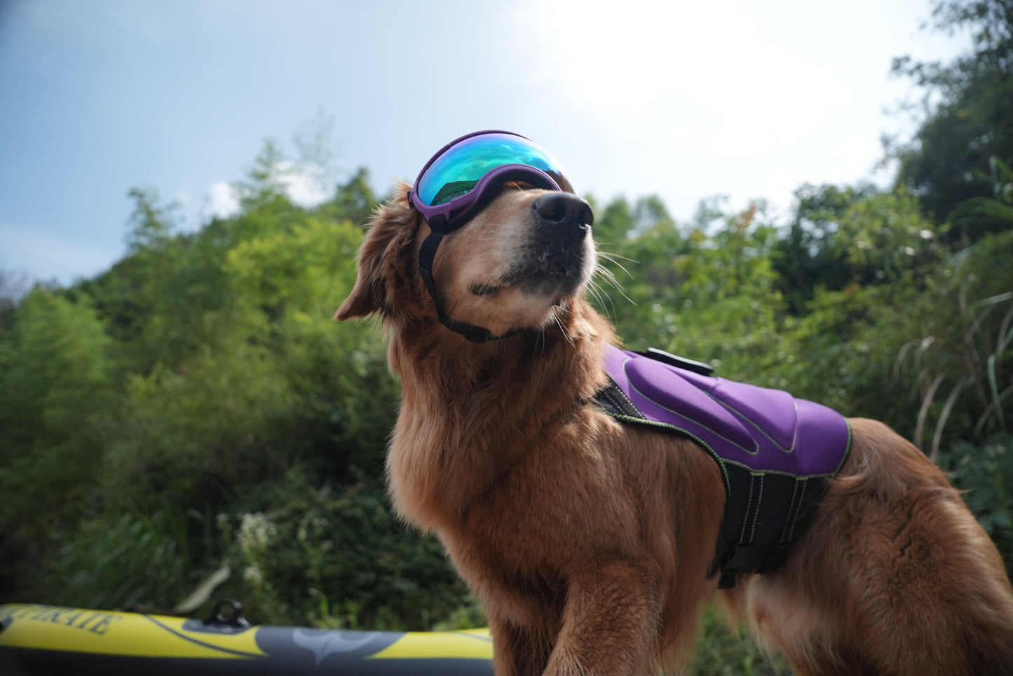 MudPuppy Life Vest for Dogs