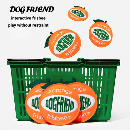 Orange Frisbee Toy
