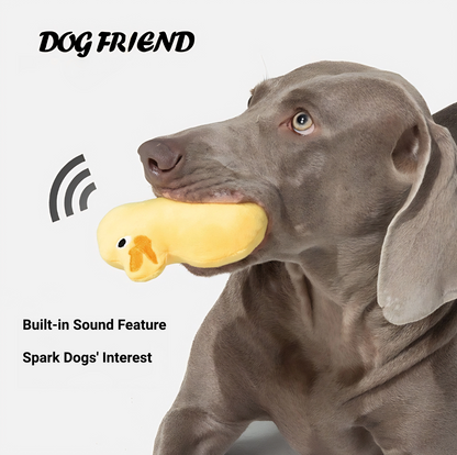 Adorable Squeaky Duck Friends