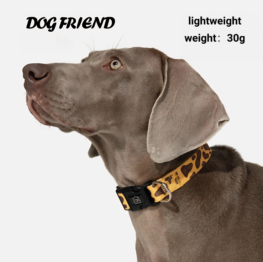 Animal Print Dog Collar and Leash Set