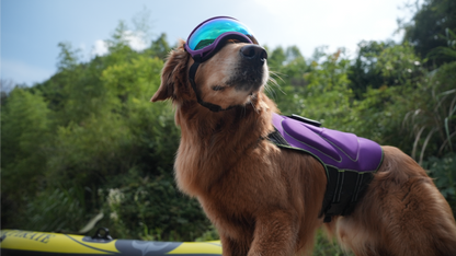 MudPuppy Sun Goggles